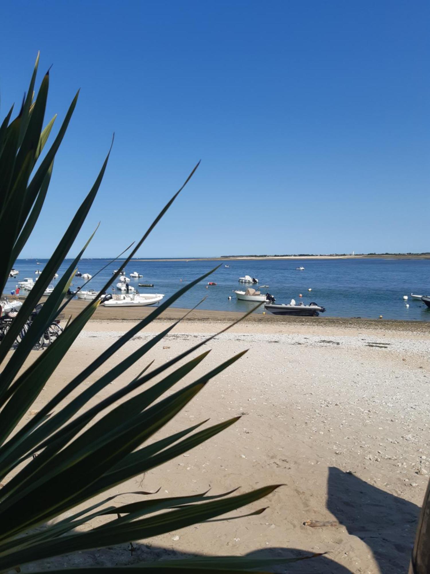 Dompierre-sur-Mer Maison De Vacances Entiere A 10 Mn De La Rochelle מראה חיצוני תמונה
